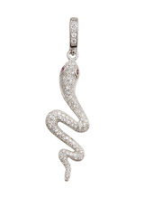 Cool Snake Charm